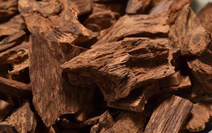 五行之木:肝三角系列