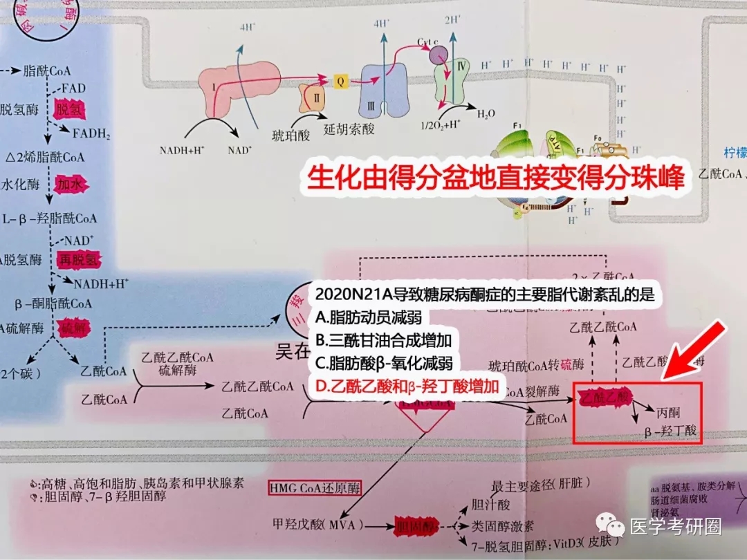 吴在望西医综合生化九大代谢图2020一张纸押中生化九道题