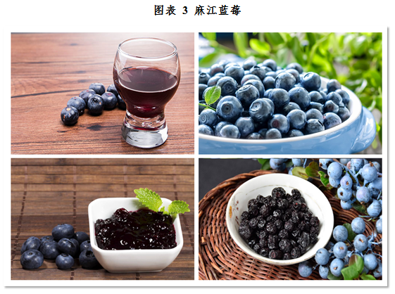 蓝莓产业 d1984fe193714533b4aa0854c732c5ea.png