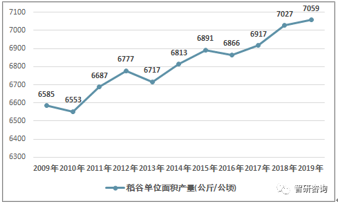 2010-2019年稻谷单位面积产量情况