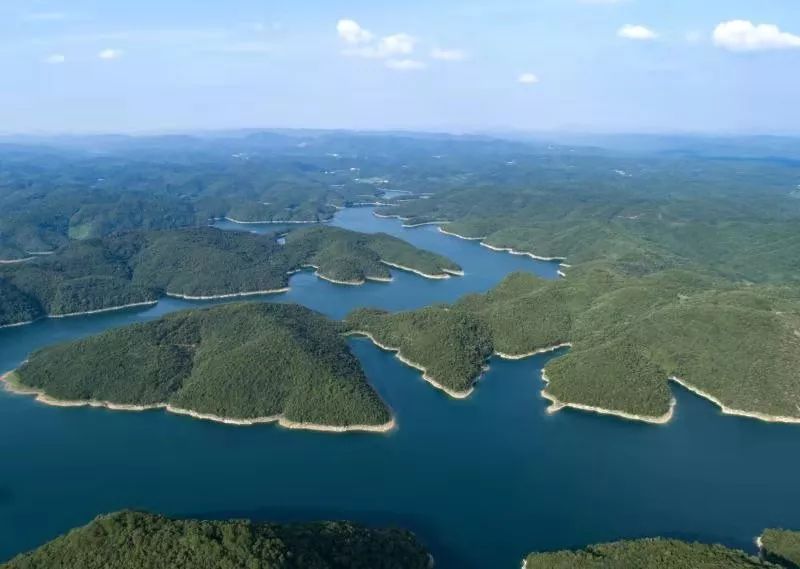 保护珍稀鸟类 守护绿水青山 中华秋沙鸭保护联盟第一次联谊会在漳河