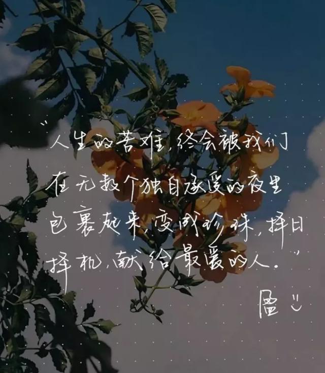 此生无怨无悔曲谱_无怨无悔图片(2)