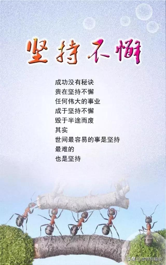 哪怕再渺小,也要勇敢面对这个世界,让所有人为自己欢呼,早安