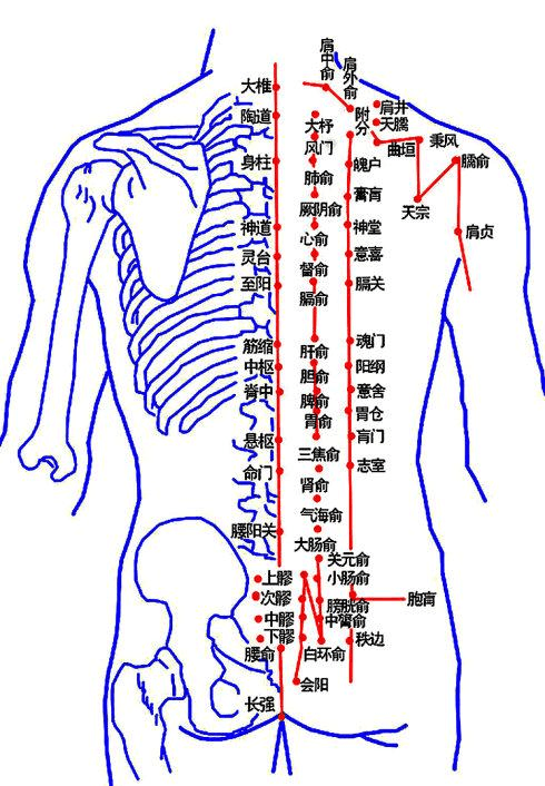 人体各穴道的用途,你都知道哪些  