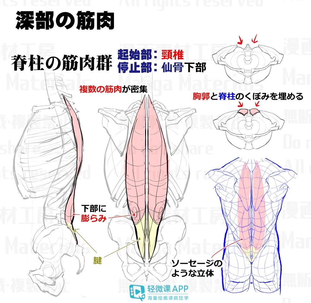 怎么翻小肠图片教程 154af4b60eac4e258375aafe6ce2c9c4.jpeg