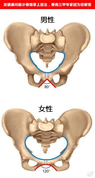 骨盆大小怎么看