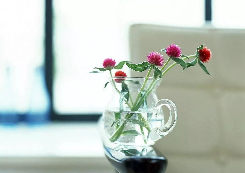 一进门放什么花最好 281d1f4d35c149b18a647686f1758fb2.jpeg