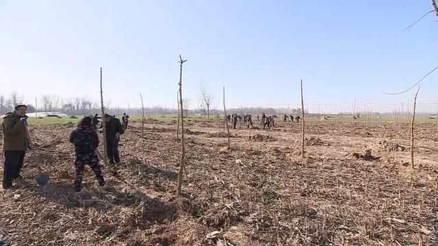 苟村集镇人口_苟村集镇祝桥村(2)