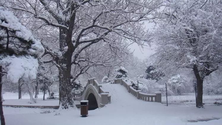 那些年冬天,大雪为我们童年留下的回忆