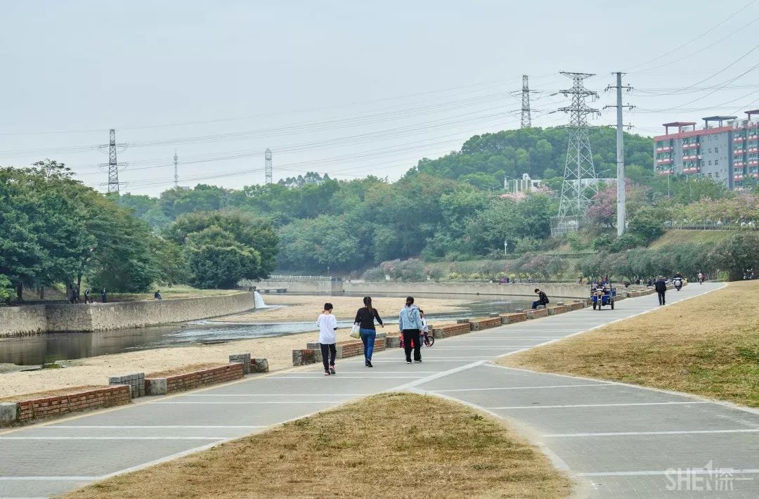 观澜人口_观澜山水田园