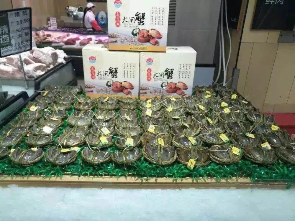 常州有多少人口2017_常州金地格林郡多少栋