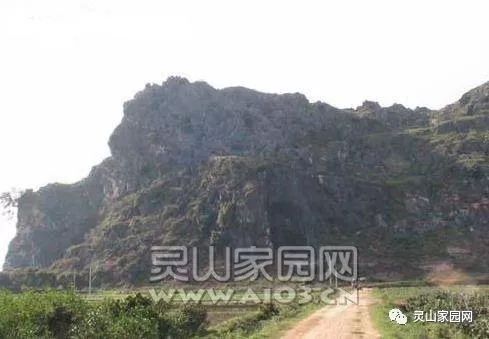 广西灵山太平各村人口_纾困惠企注 活水 六稳六保落实处(2)