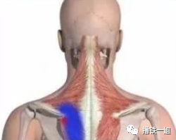 6353495a4d184216998dce733351995c.png
