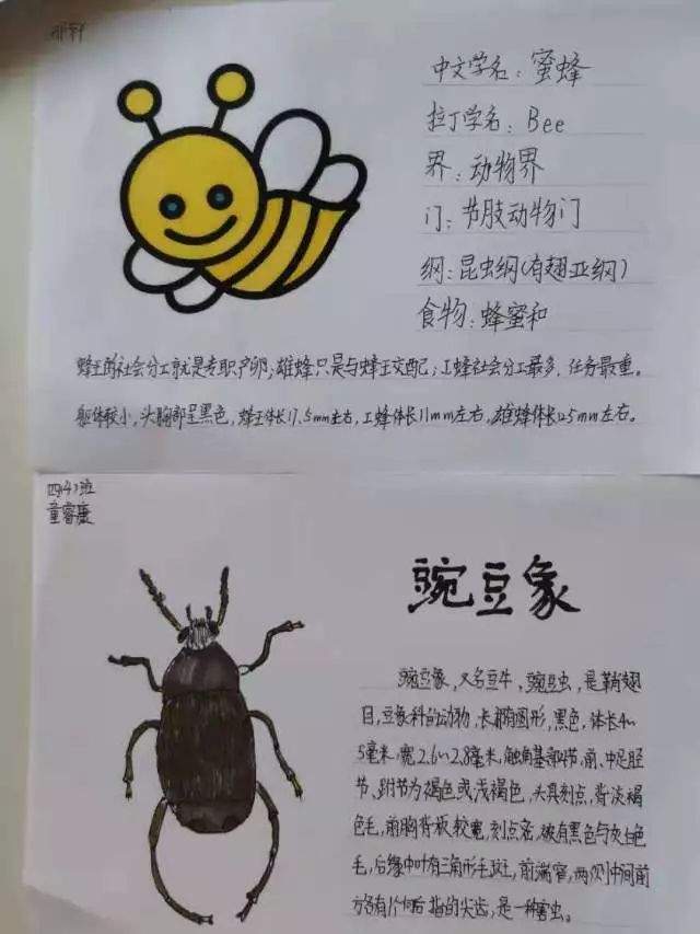 快乐阅读快乐成长嵊州市逸夫小学四4班悦读特色班总结