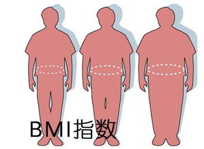 瘦身减肥方案_瘦身方案_瘦身方案演讲