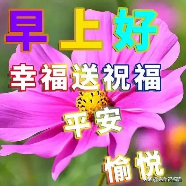 周六清晨最美的早安问候语图片带字温馨,早上好表情动