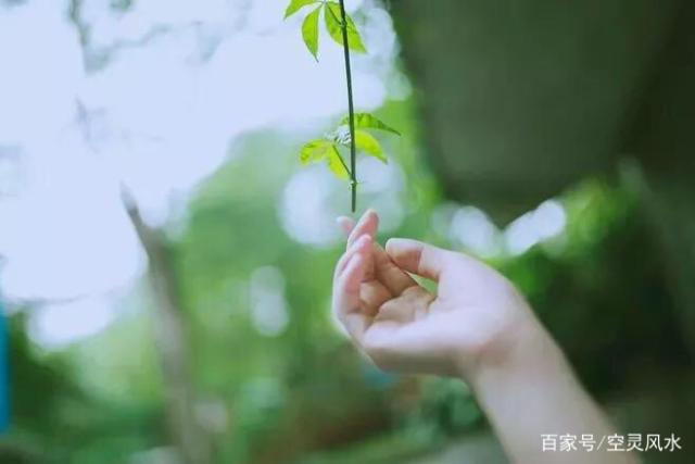 99f57e57df4a4f8482225870146aedfa.jpeg