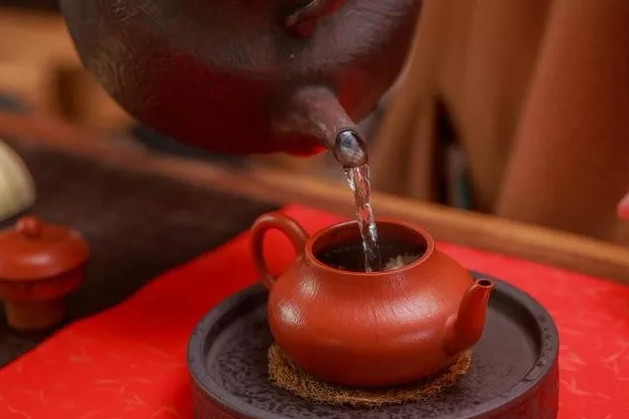 泡茶方式可根据个人口感_美女泡茶图片(2)