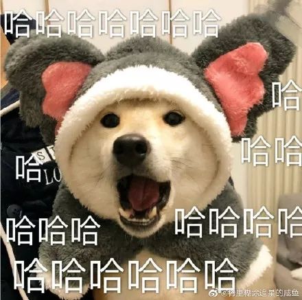 c44474755bb44e8da7a4a842664c374a.jpeg