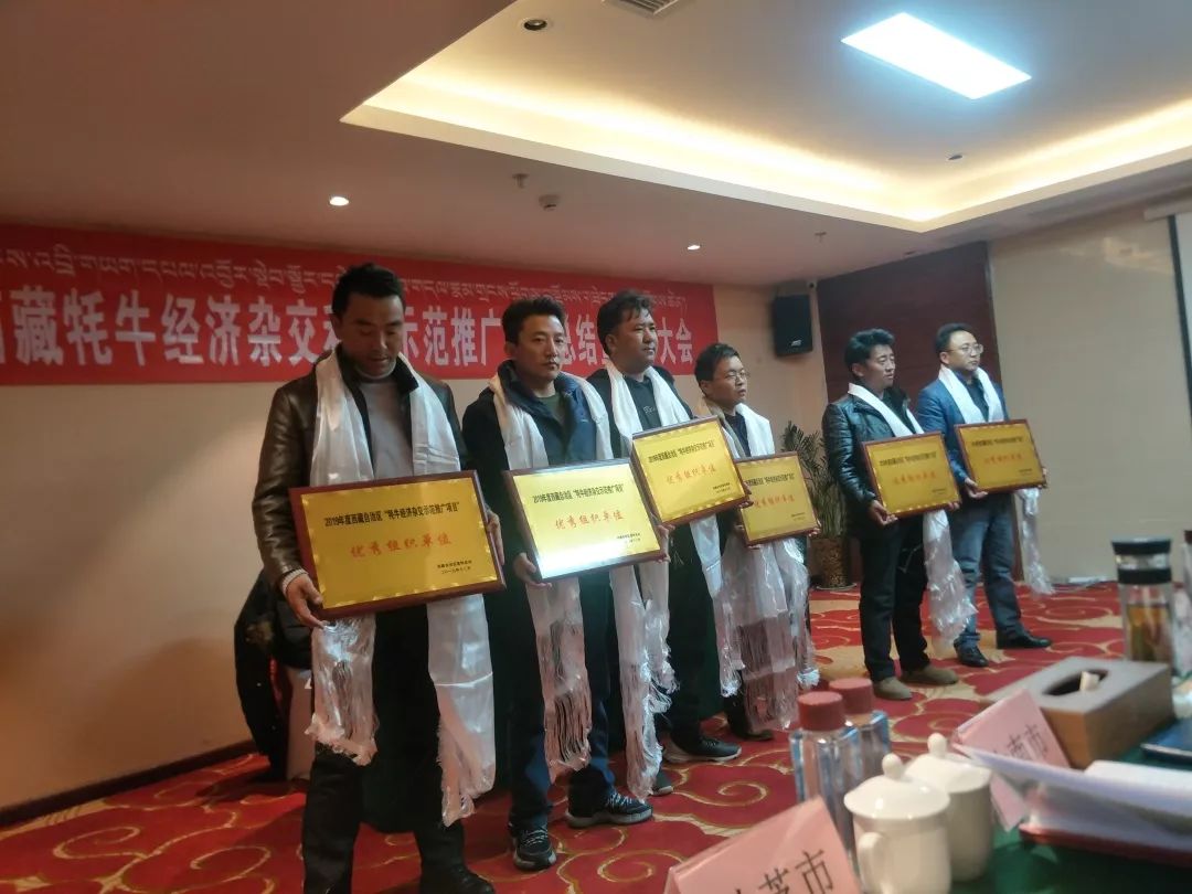 卡若区2019gdp