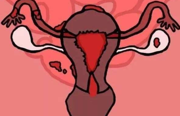 吃什么可以快速恢复元气 ce75ac51efcd49158e8f35ce4a464951.png