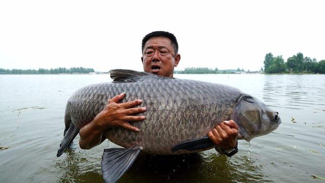 不要嘲笑李大毛打重窝,野钓大鱼用这种方法,永不落空