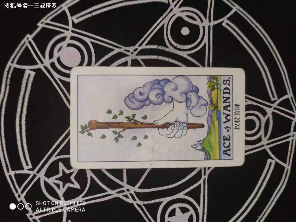 十三叔塔罗牌免费占卜学业:最近学业运势怎么