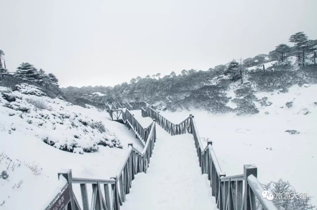 快看,今年冬天苍山洗马潭的第二场雪来啦