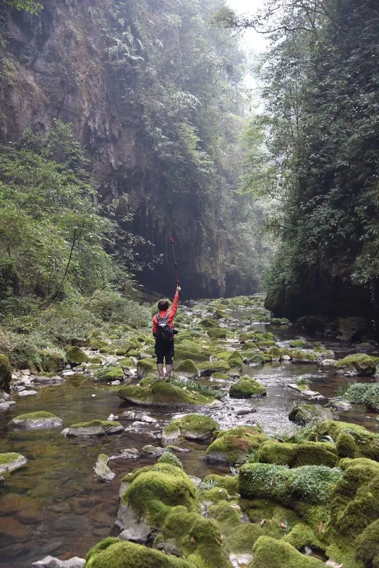 龙山县瓦房乡有多少人口_龙山县洛塔乡列坝村