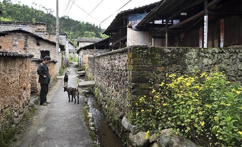 蒲庙人口第一大村_福建第一人口大县