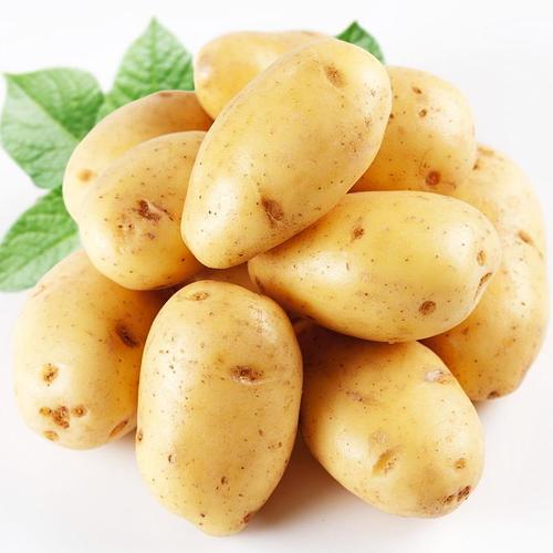 土豆加鸡蛋有多少蛋白质 19c6aa4b47814fe397d4f2e3bc5c4d45.jpeg