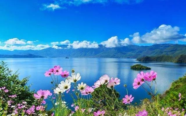 每日一歌:《遇上你是我的缘》