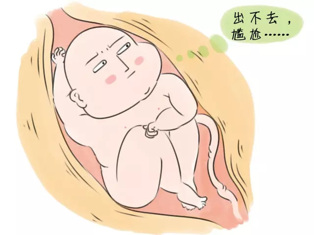 2186ff09ec4d40f693e9bb6100bfbcdb.png