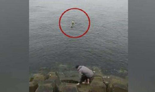 真英雄！女子星海湾落水73岁老人下水营救