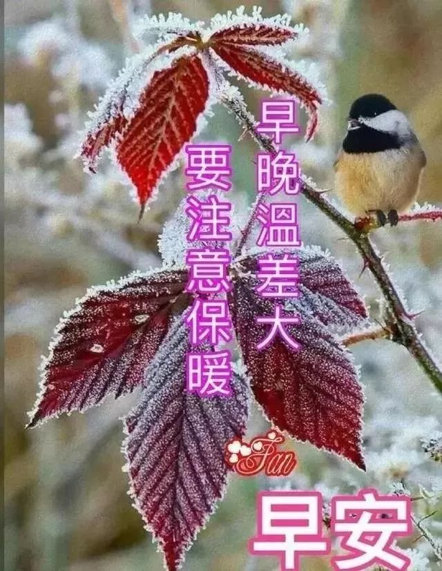 周末早上好暖心问候祝福语图片,最新早上好问候祝福语