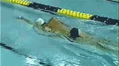 392cac9c4546475c987798943043d4e6.gif