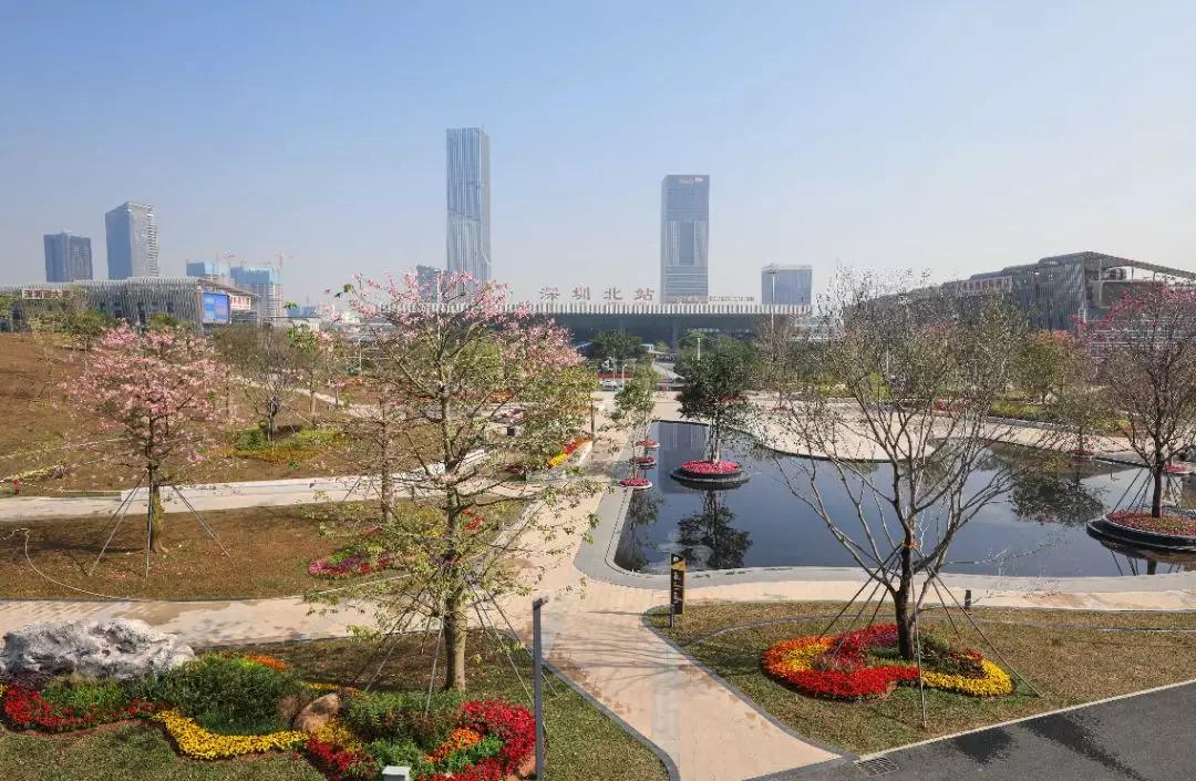 走进深圳北站中心公园入口广场,有一处水景喷泉,平静的水面倒映着整个