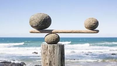 发现万有引力成为科学家,芒格却用这些法则成