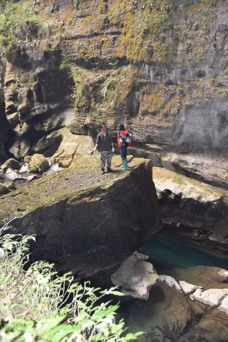 龙山县瓦房乡有多少人口_龙山县洛塔乡列坝村