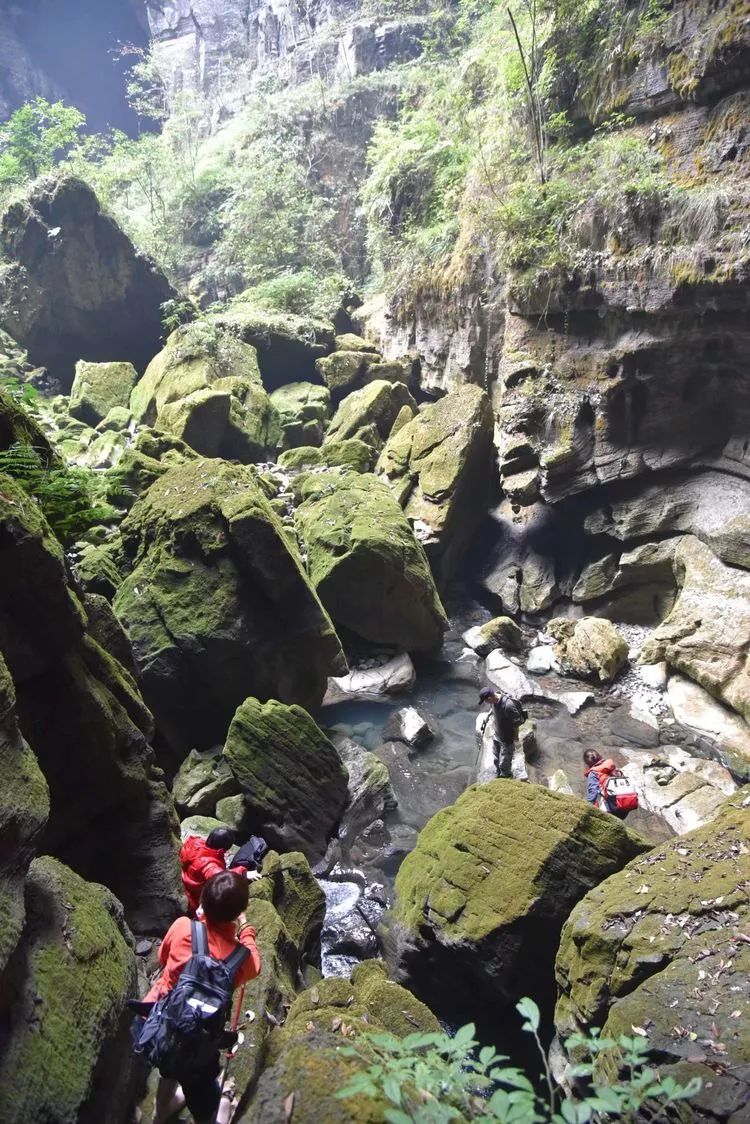 龙山县瓦房乡有多少人口_龙山县洛塔乡列坝村