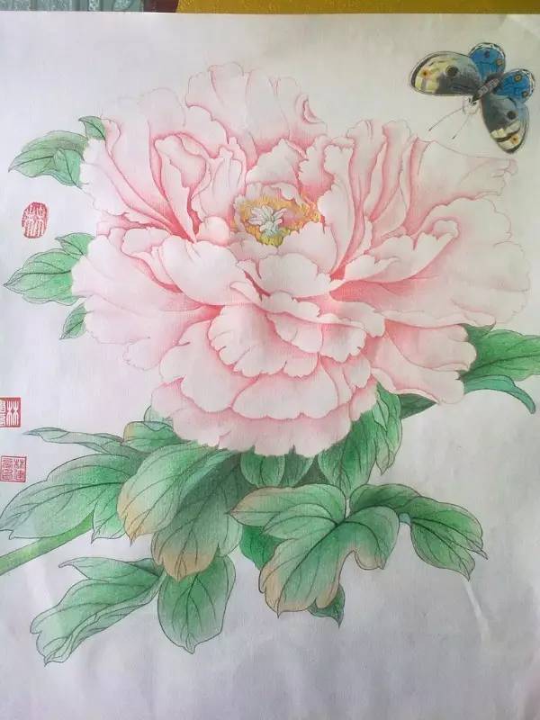 彩铅教程 | 画一朵繁艳芬馥的牡丹