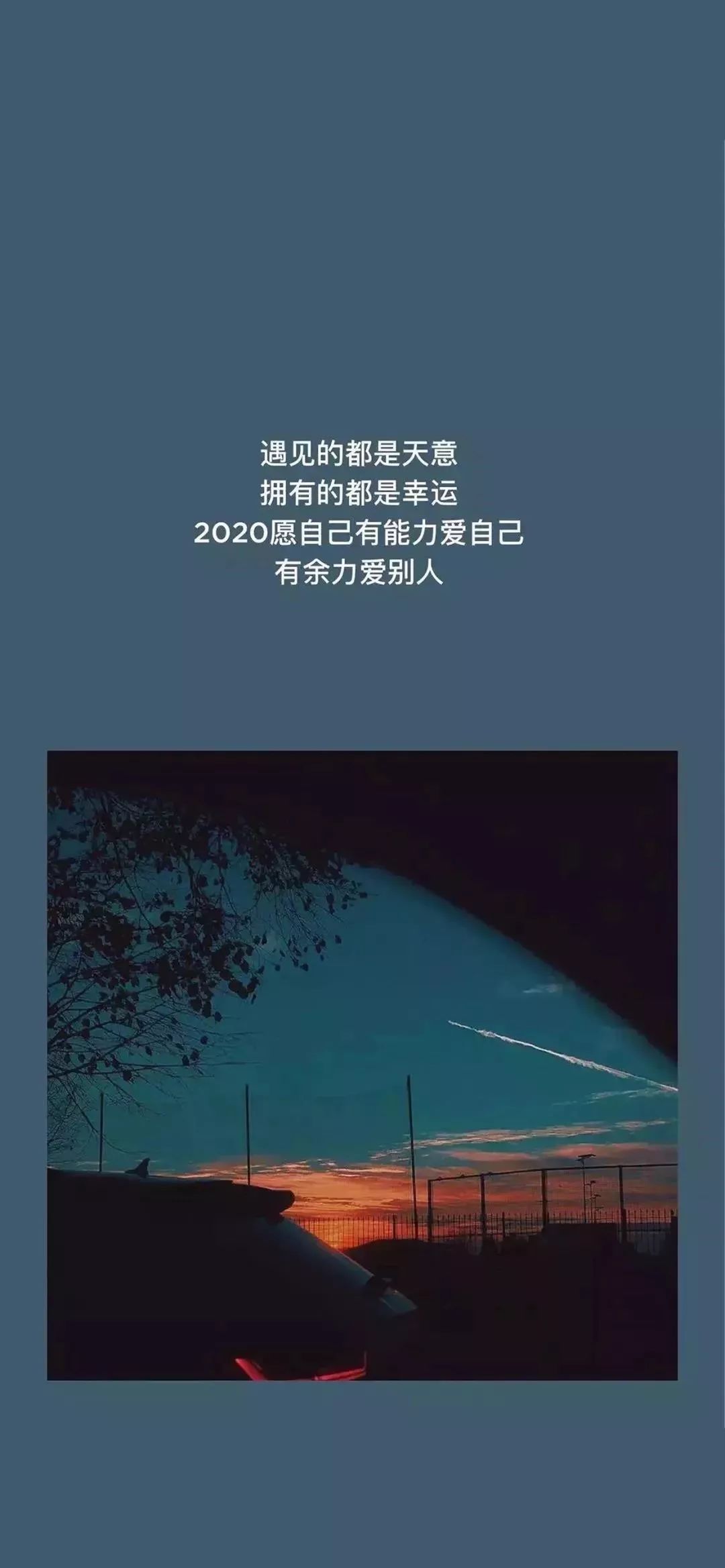 抖音热门潮图壁纸 I 没钱别撩娇美娘 不信你问武