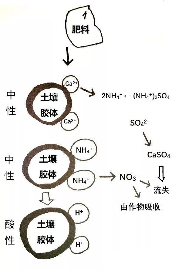 土壤的基础知识讲解21