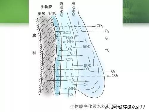 比较生物膜法和活性污泥法的优缺点
