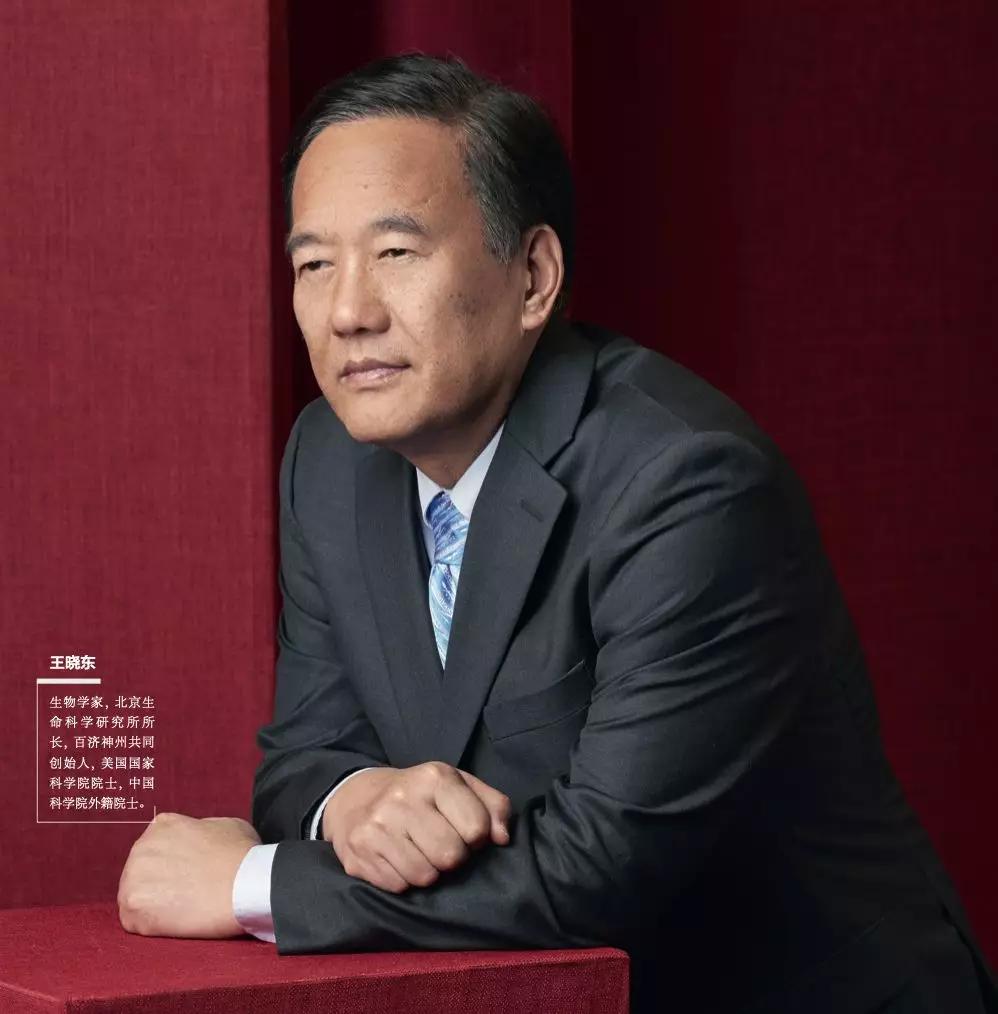 原创王晓东:只做力所能及的事