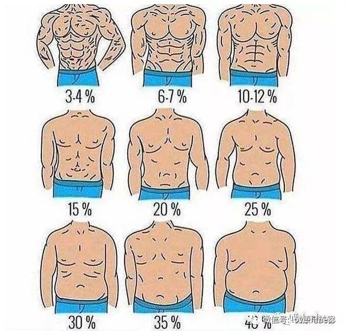 以下是男女体脂率对照表,体脂率过高或过低都不好,应保持在正常标准的