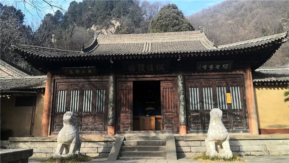 水云间带你走长安 终南山里净业寺 腊梅幽香正当时