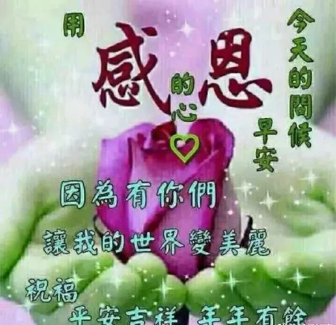 超漂亮的早上好祝福表情问候图片最浪漫的早安问候感悟句子