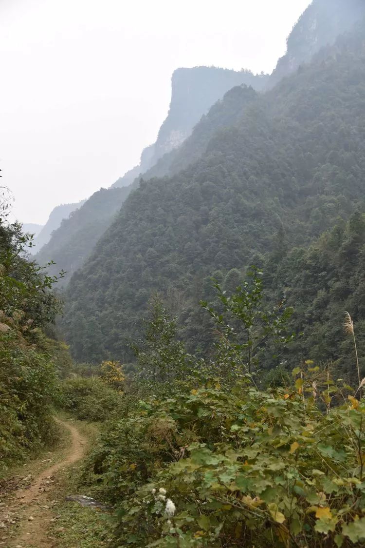 龙山县瓦房乡有多少人口_龙山县洛塔乡列坝村(2)