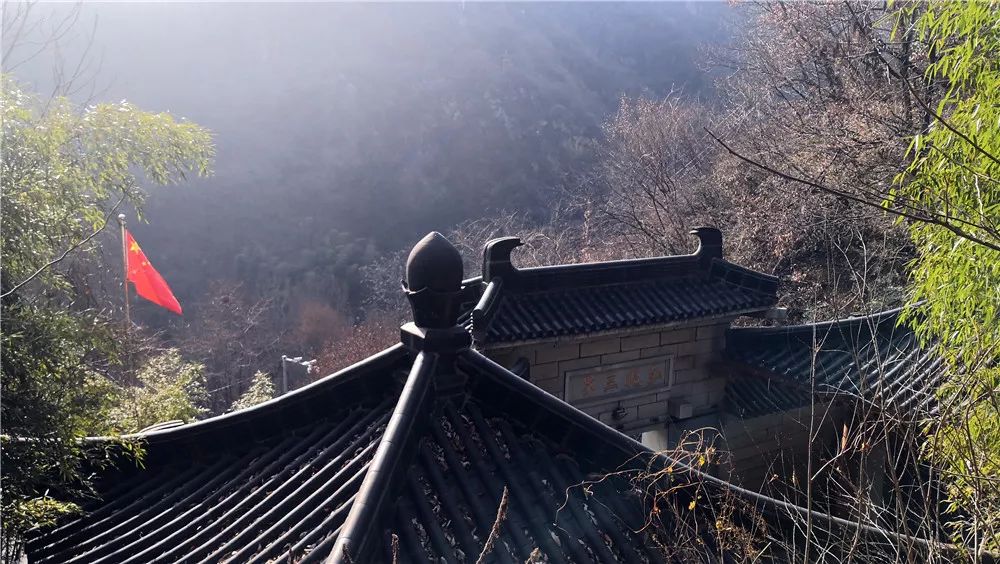 水云间带你走长安 终南山里净业寺 腊梅幽香正当时